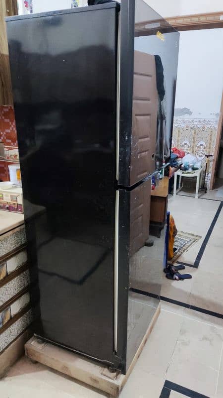 Refrigerator PEL 6ft Full size 1