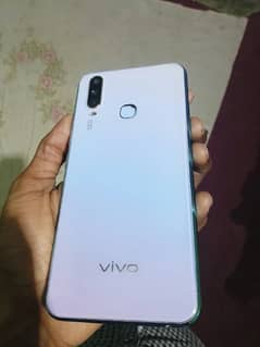 VIVO