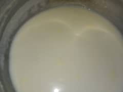 pure white Cow Milk 100% pure milk with home delivery I want sell milk