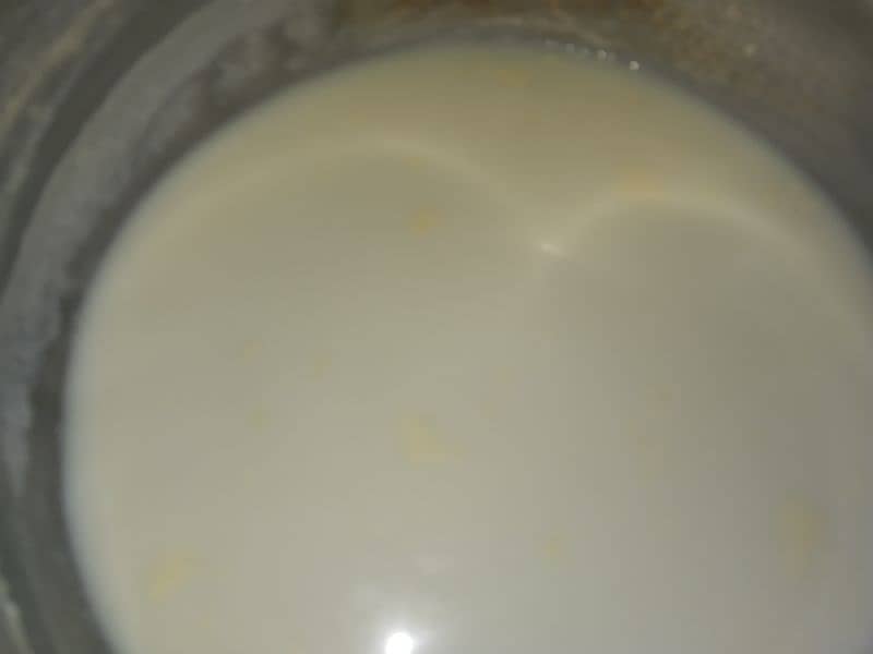 pure white Cow Milk 100% pure milk with home delivery I want sell milk 0