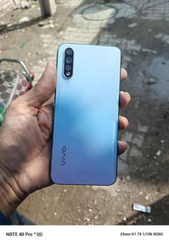 vivo