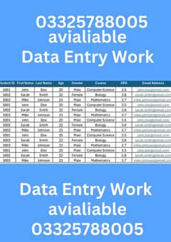 Data Entry Freelancer