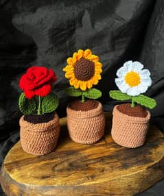 crochet pot