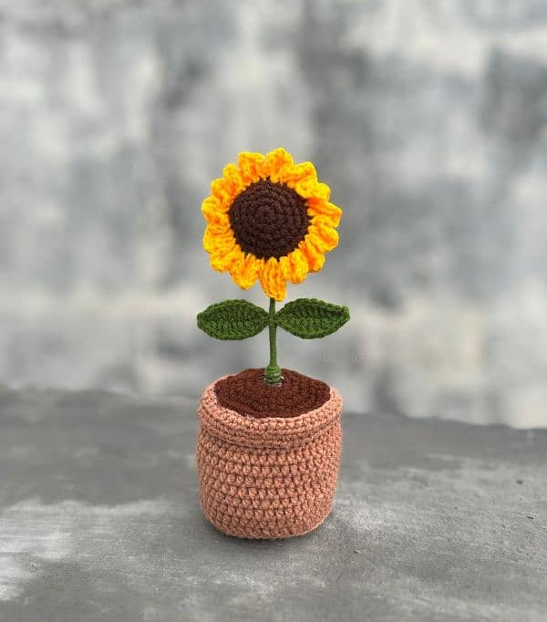 crochet pot 3