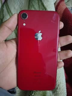 iphone Xr 64 GB 8/10