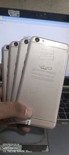 Vivo