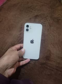 iphone 12 2ual pta