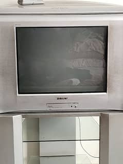 Sony TV 20 inch  with Trolly