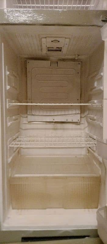 Singer large size fridge urgent sale 3