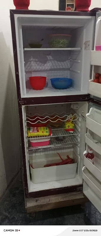 fridge 7