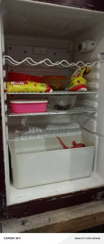 fridge 9