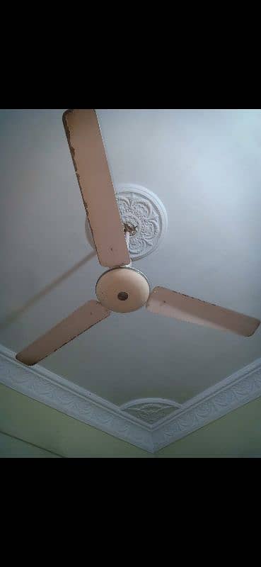 Fan for Sale 1