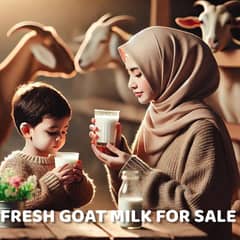 فریش گوٹ ملک فور سیل] goat milk for sale