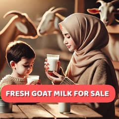 فریش گوٹ ملک فور سیل] goat milk for sale