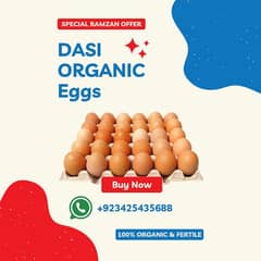 DASI EGGS