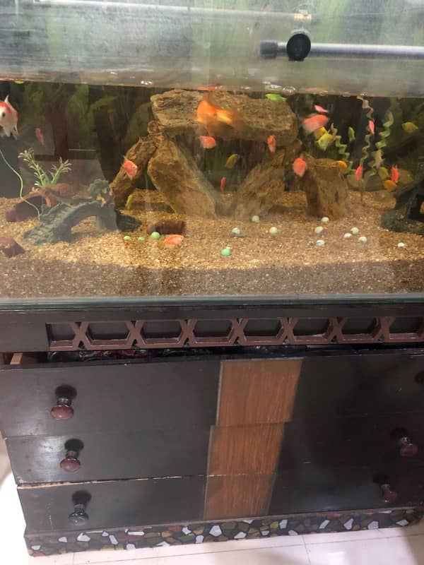 fish aquarium for sale in 12 mm glass best and premiume quality 1