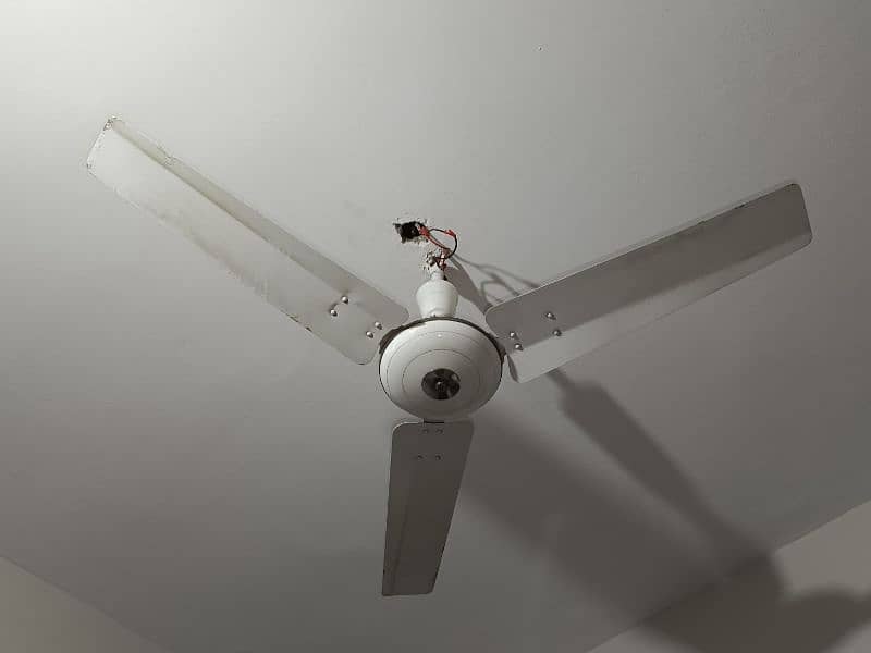 royal ceiling fan 0