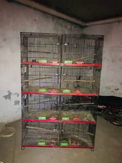 Parrot Cage