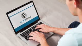 Female WordPress Development Internships