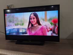 Sony led 32 inch  (0306=4462/443) achaseet