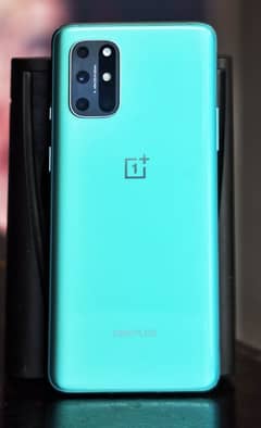 one plus 8T 12 gb ram 256 memory