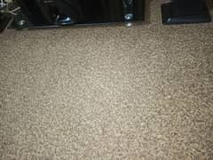 carpet