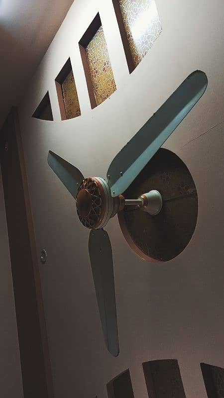 ceiling fan 1