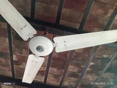 Ceiling fan for sale like new 10/10