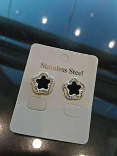 Stainless steel Earring