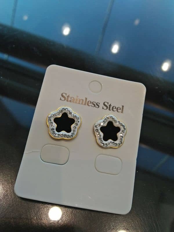 Stainless steel Earring 0