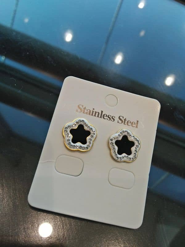 Stainless steel Earring 1