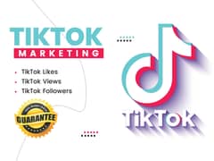 TikTok, Instagram, Facebook, YouTube (Followers, Likes, Views & Sub)