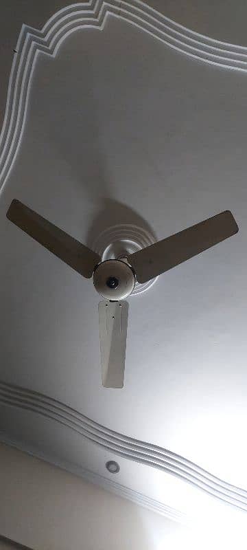 New fan 0