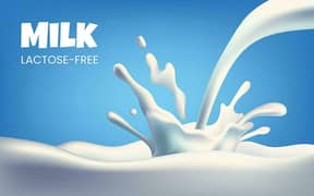 Need Staff for Milk Shop sales counter