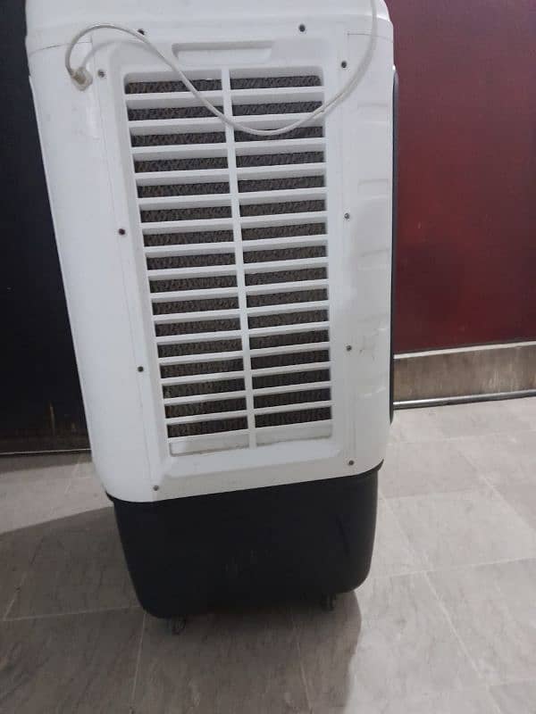 Air cooler Royal full size 3