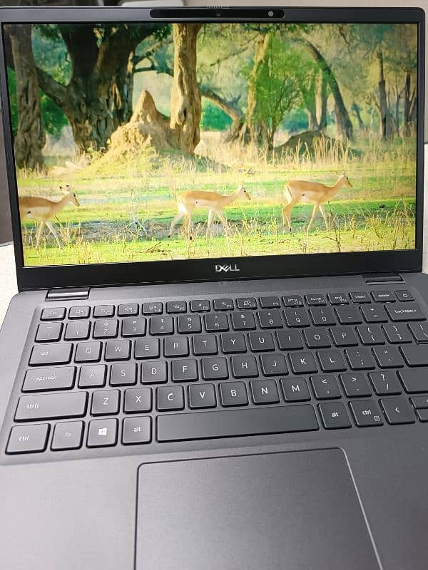 DELL Latitude 7310 3
