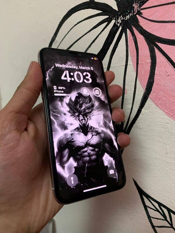 Iphone X Nonpta 256 gb 1