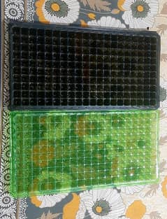 Seedling Trays