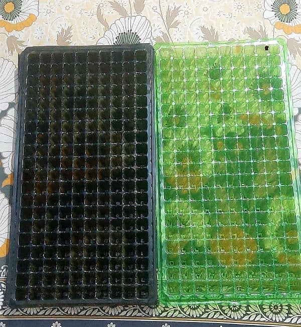 Seedling Trays 1