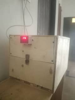 Pure Wooden Incubator Long Life 45 Eggs Capacity Money Back Guarantee