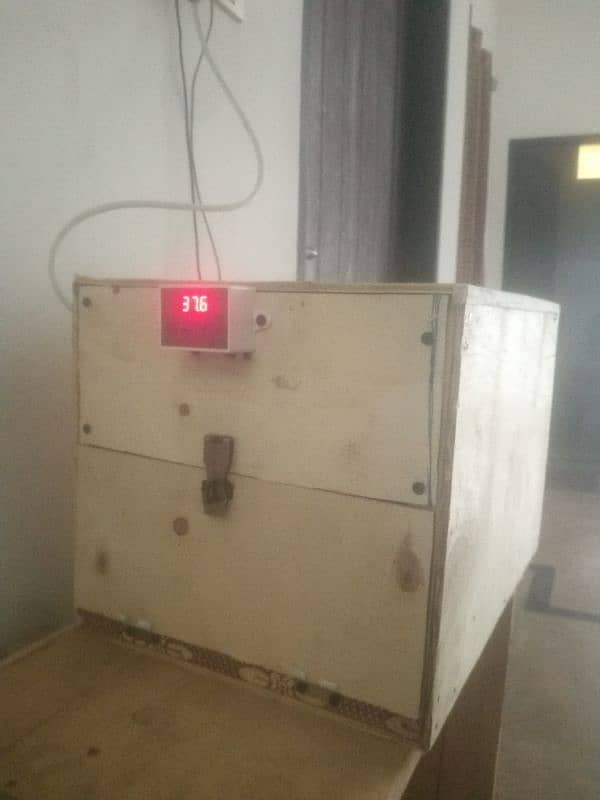 Pure Wooden Incubator Long Life 45 Eggs Capacity Money Back Guarantee 0