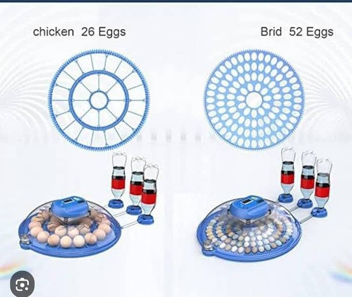 انڈوں سے چوزے نکا لنے والی مشین Eggs Hatching incubator AC and DC 3