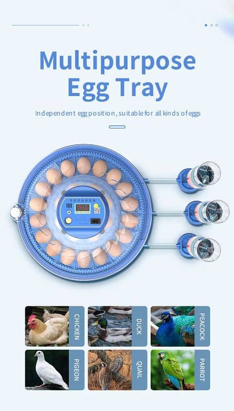 انڈوں سے چوزے نکا لنے والی مشین Eggs Hatching incubator AC and DC 8