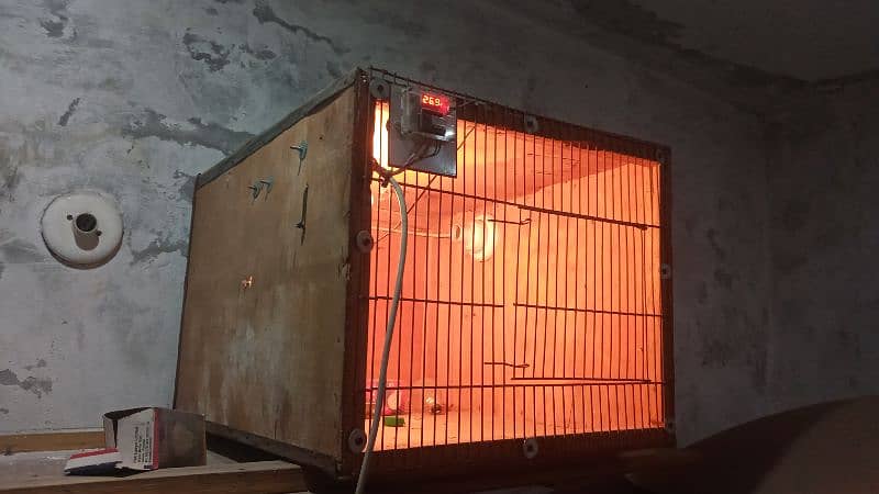 Incubator + Chicks heater 2 in 1 machine. Ph: 0314 8719941 0