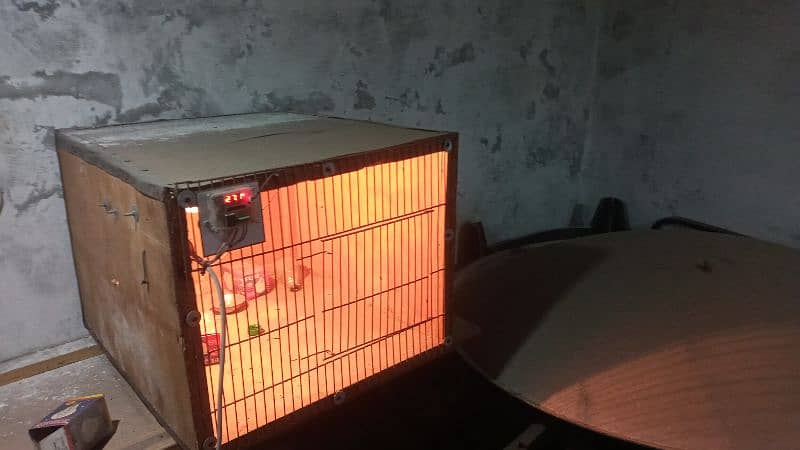 Incubator + Chicks heater 2 in 1 machine. Ph: 0314 8719941 6