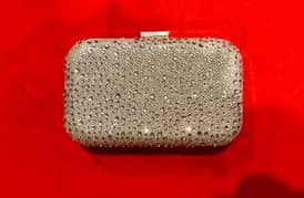 Fancy Silver Clutch (UK bought)