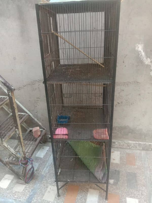 bird cage 1