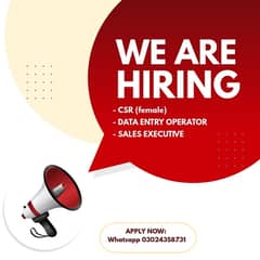 CSR | DATA ENTRY OPERATOR | SALES EXECUTIVE