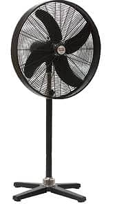 Pak Fan Pedestal Fan Copper Winding 3