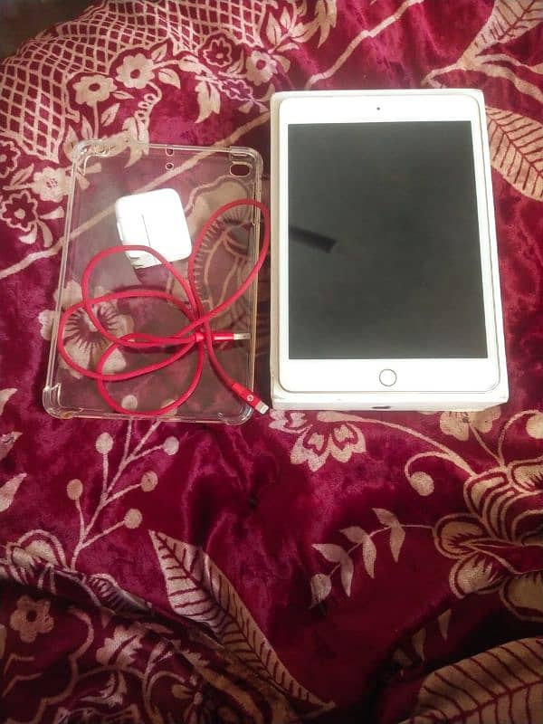 IPAD MINI 5 EXCHANGE POSSIBLE ONLY IPHONE 0